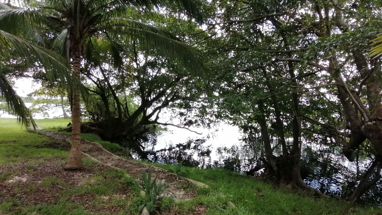 Photo of Outdoor in Huay-Pix