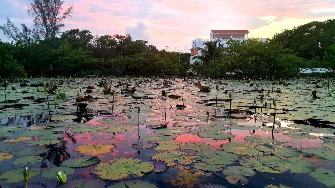 Photo of Outdoor in Villa Juarez