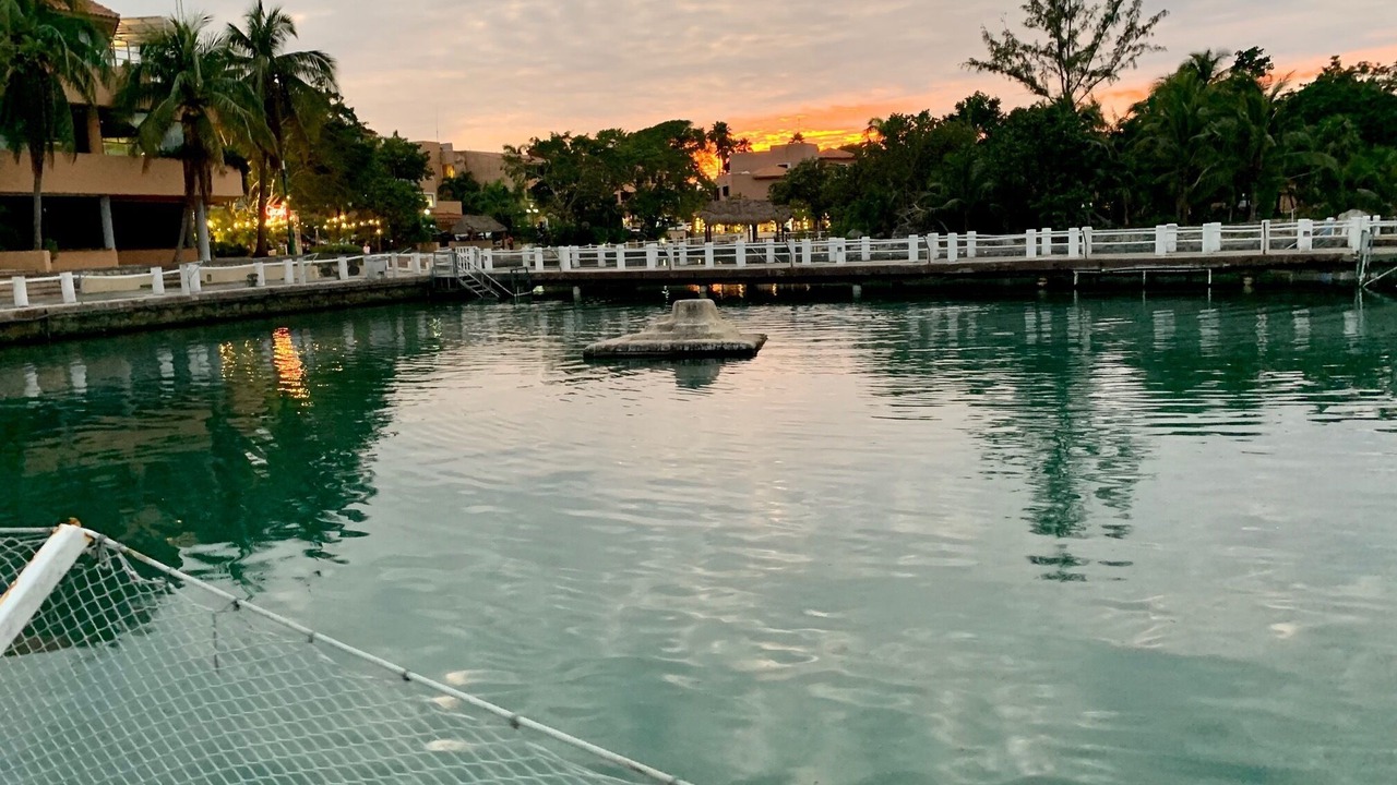 Photo of Others in Puerto Aventuras