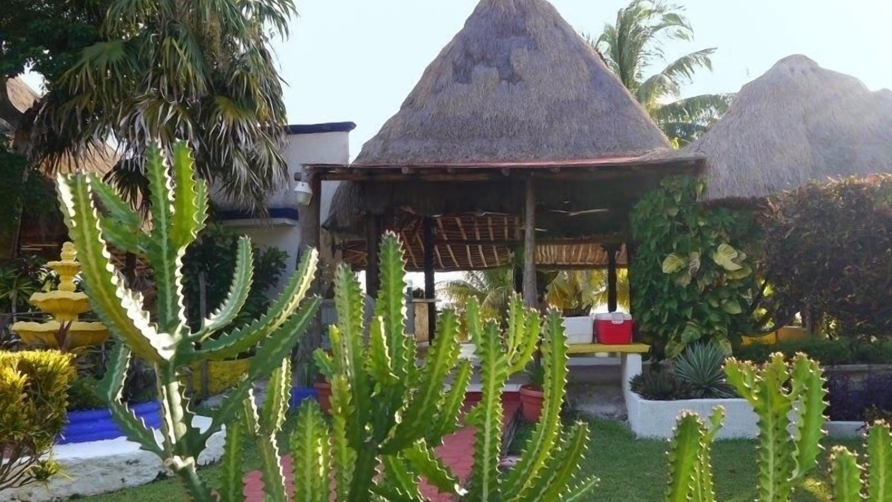 Photo of Outdoor in Salina Grande