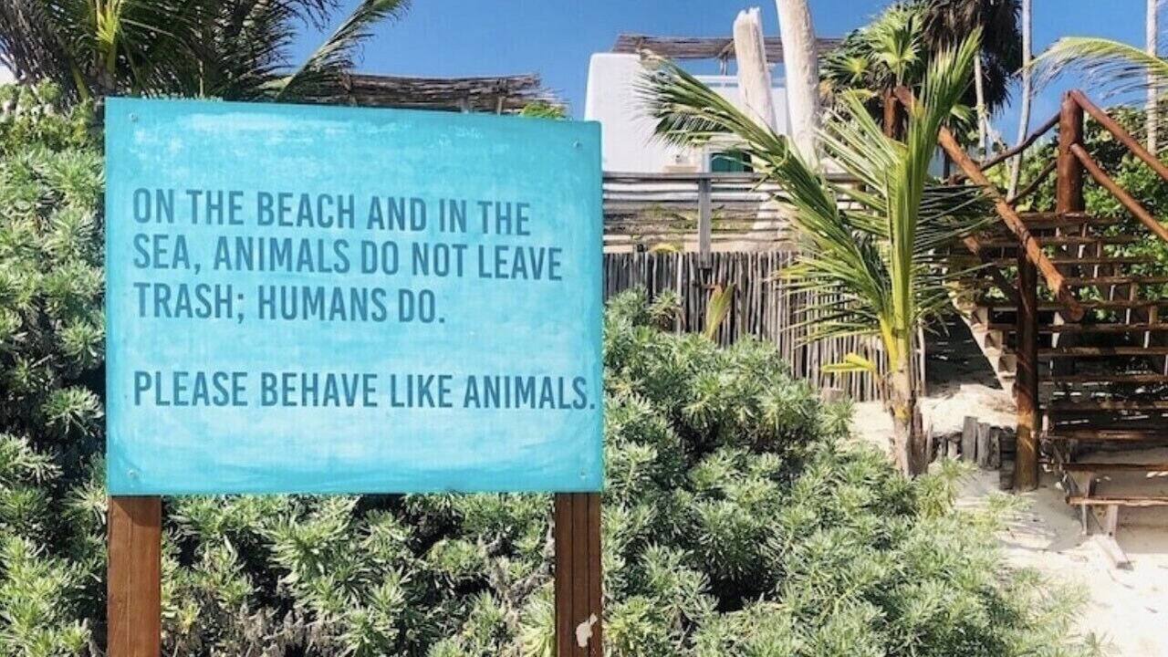 Photo of Outdoor in Playa Paraiso