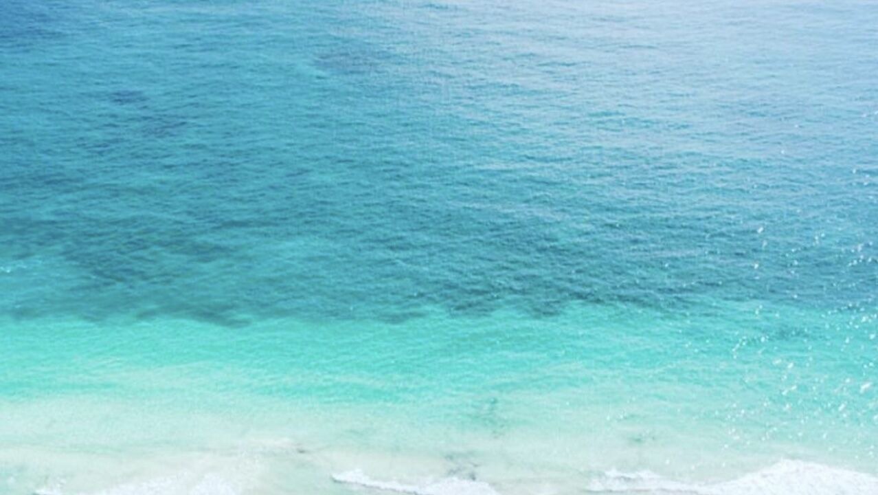 Photo of Others in Playa Paraiso