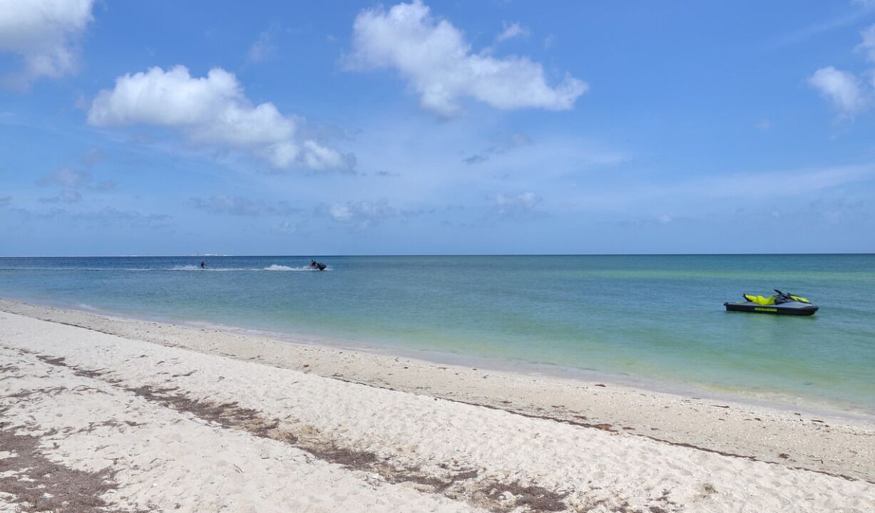 Photo of Others in Chicxulub Puerto