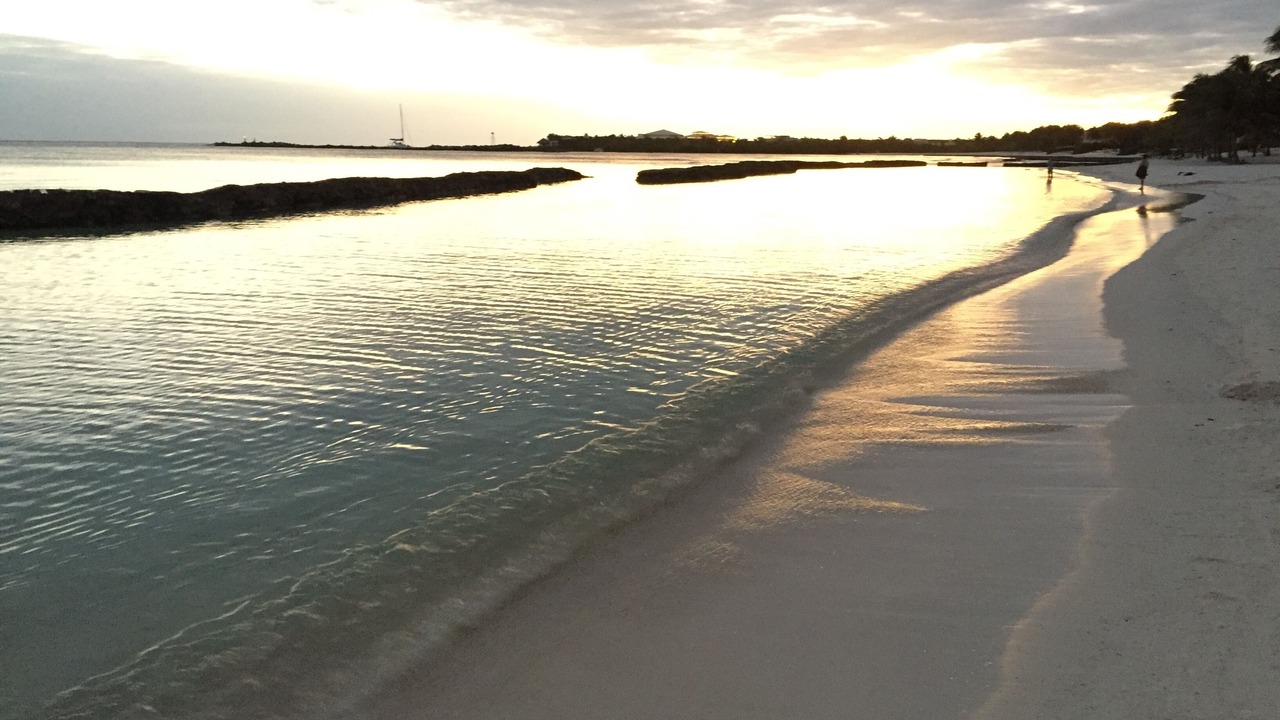 Photo of Others in Puerto Aventuras