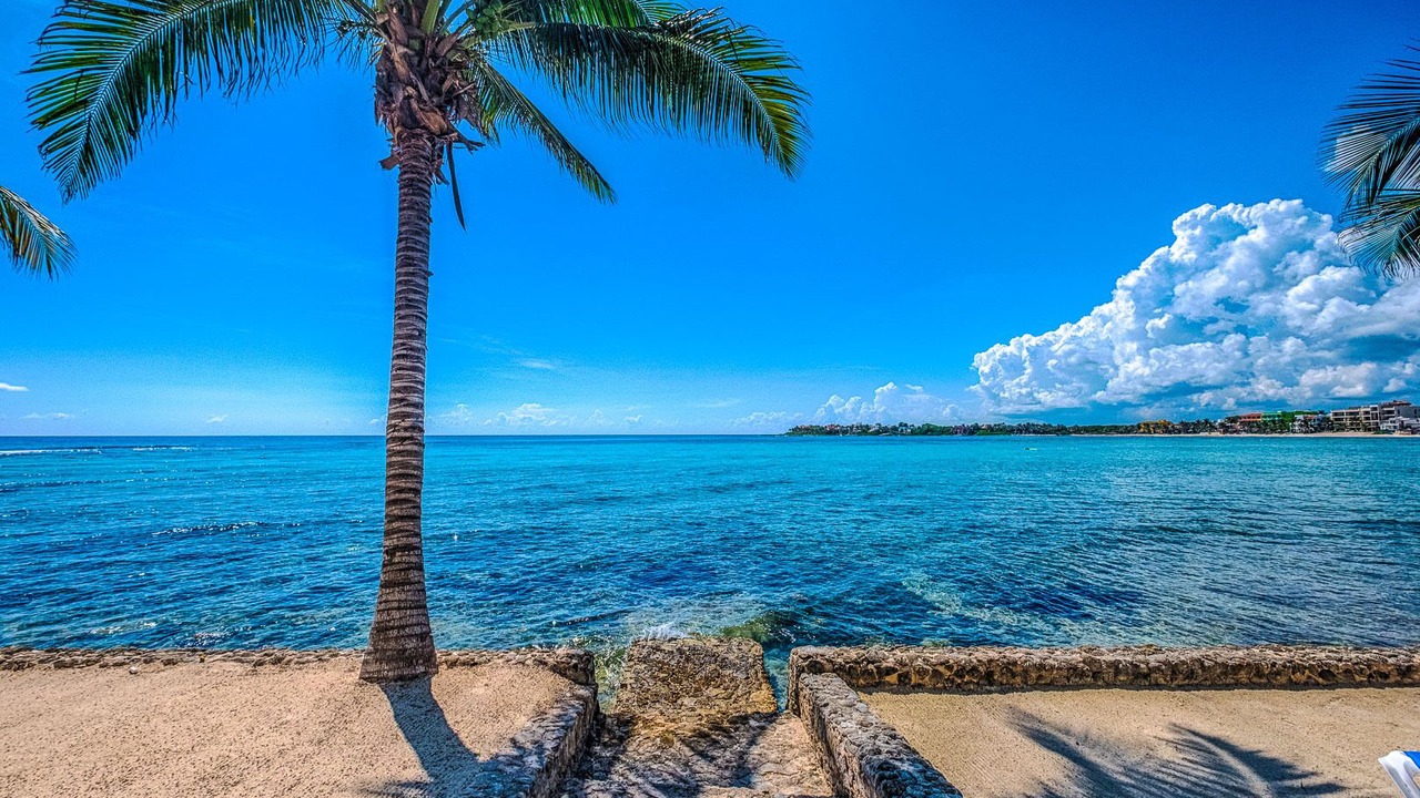 Photo of Others in Akumal