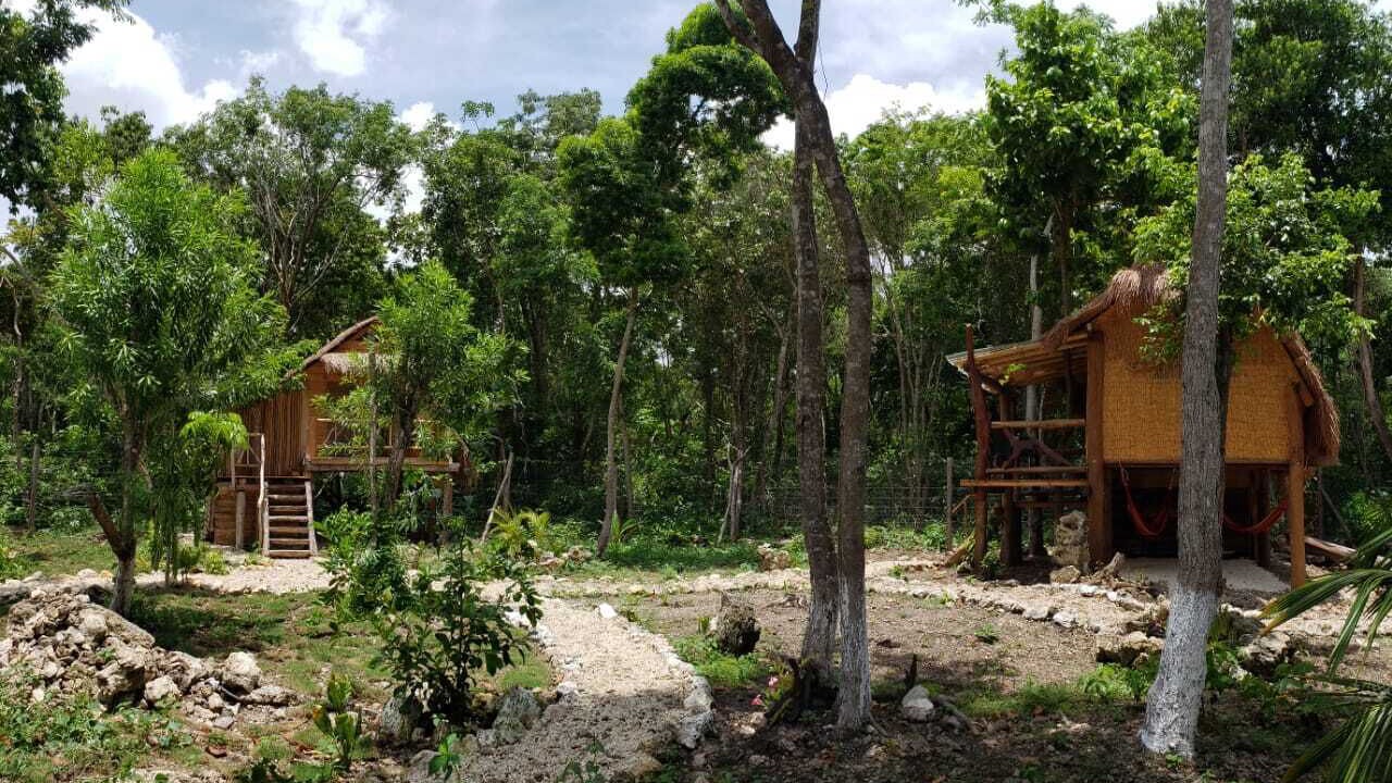 Photo of Outdoor in Othon P. Blanco