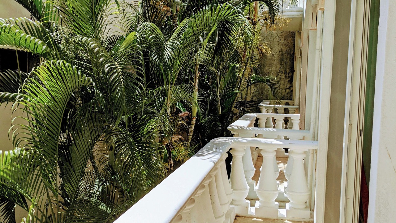 Photo of Patio Balcony in Playacar
