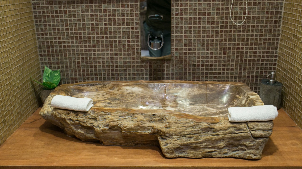 Photo of Bathroom in Playacar Fase I