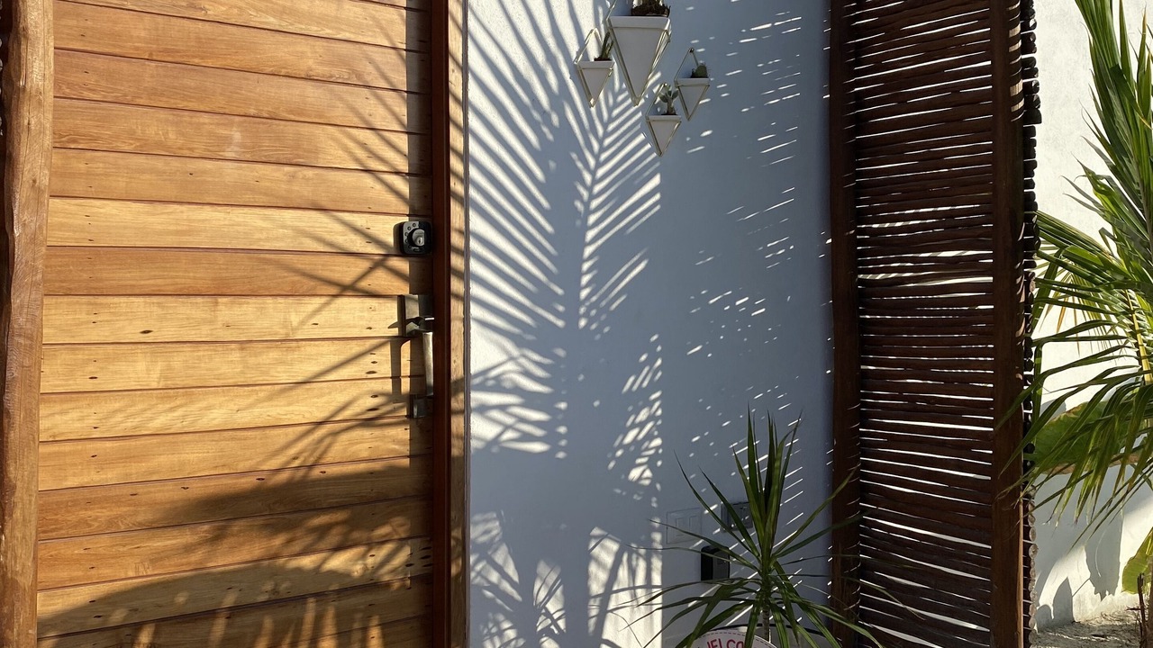 Photo of Others in Downtown Holbox