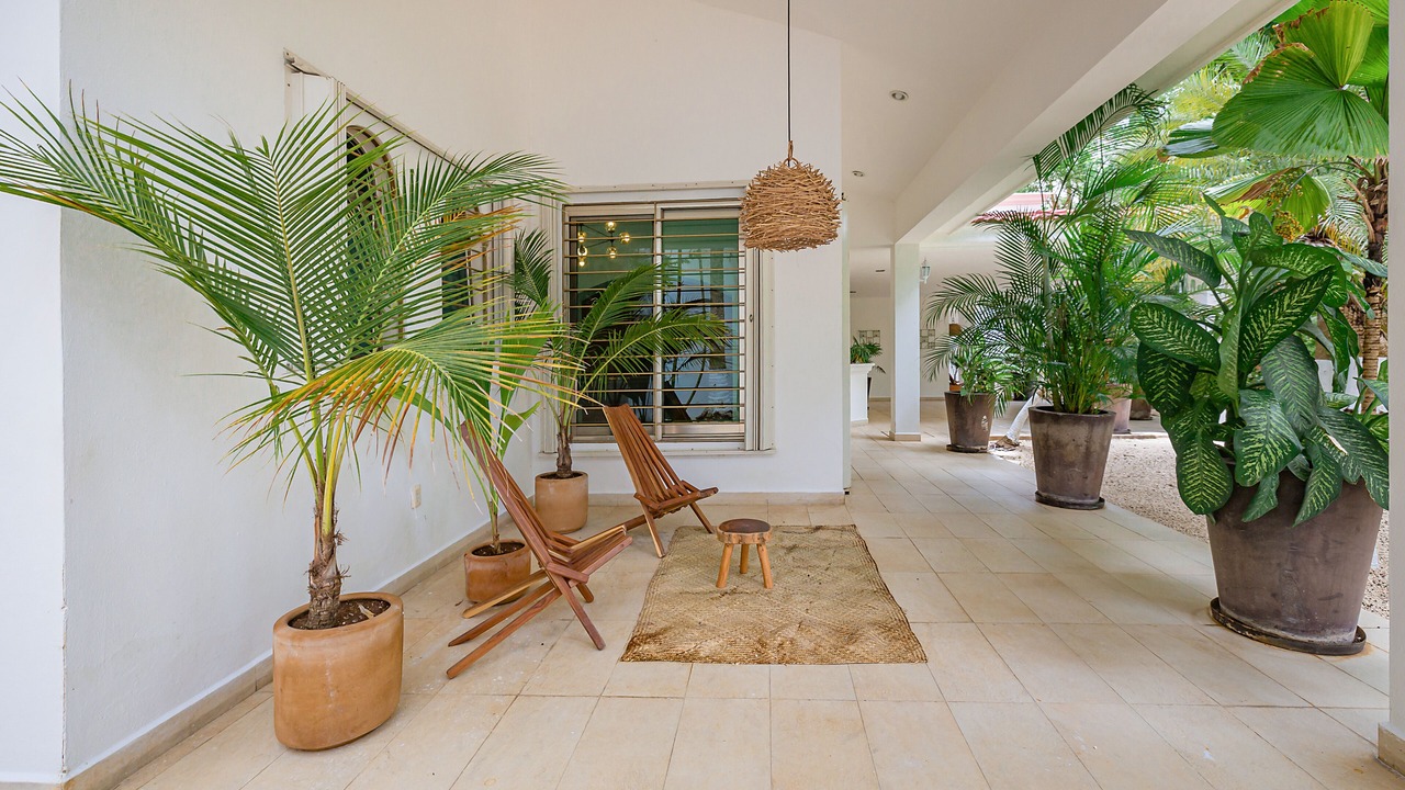 Photo of Patio Balcony in Cozumel