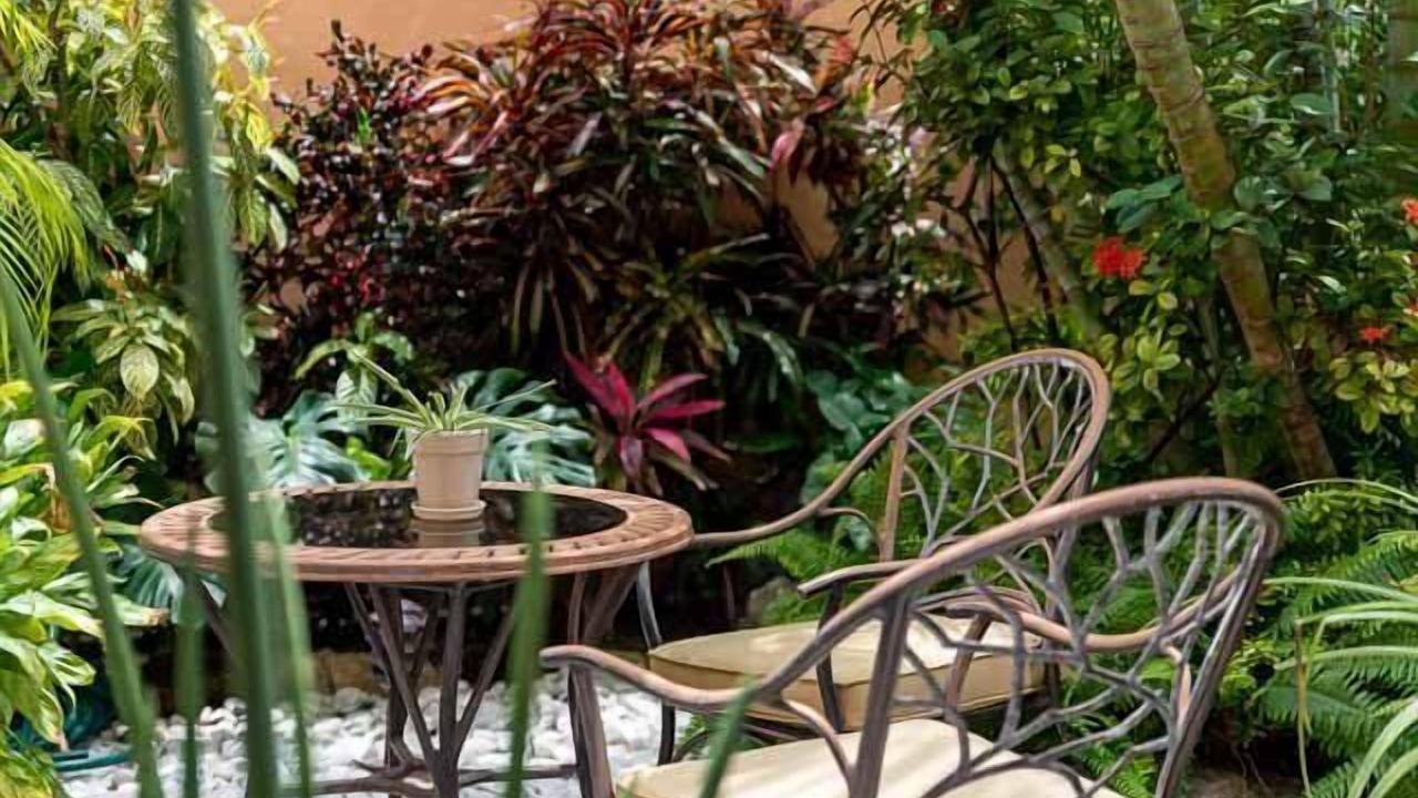Photo of Outdoor in Colonia Adolfo Lopez Mateos