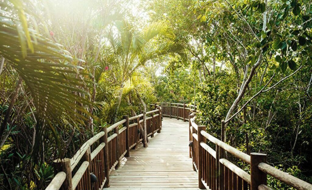Photo of Outdoor in Felipe Carrillo Puerto