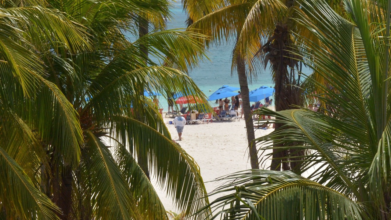 Photo of Others in Centro - Supmza 001