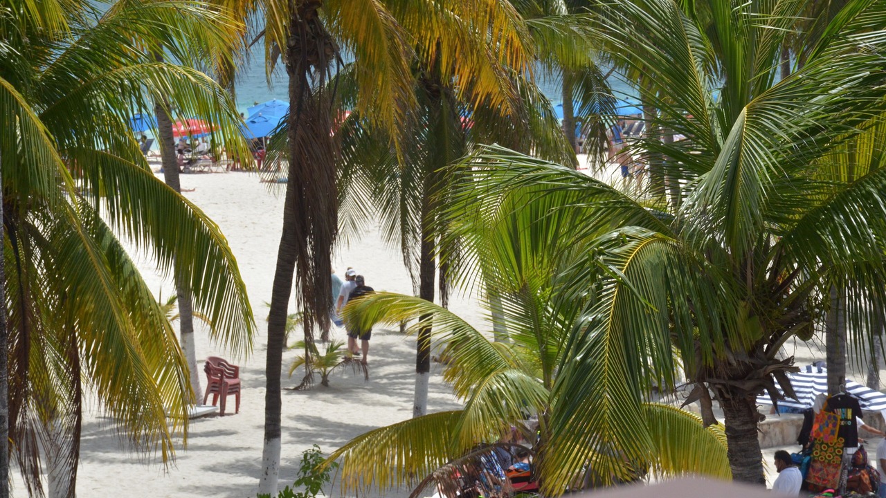 Photo of Others in Centro - Supmza 001