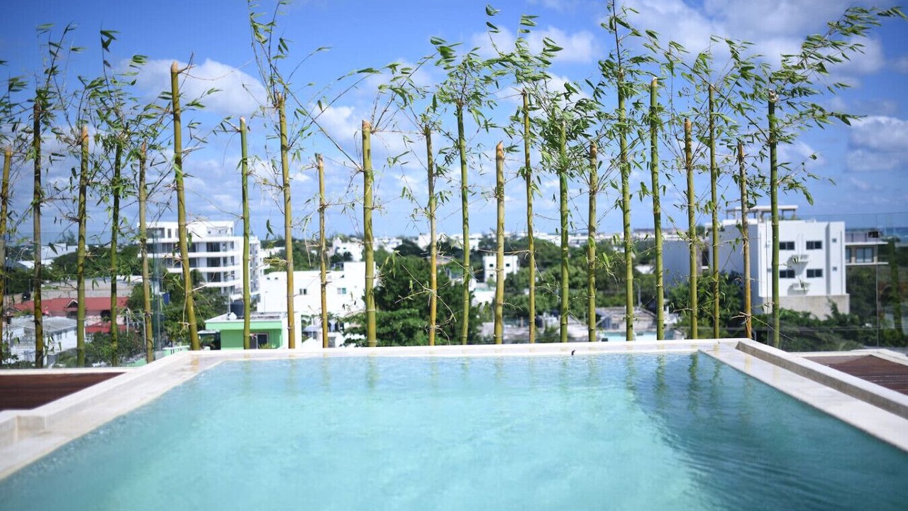Photo of Outdoor in Luis Donaldo Colosio