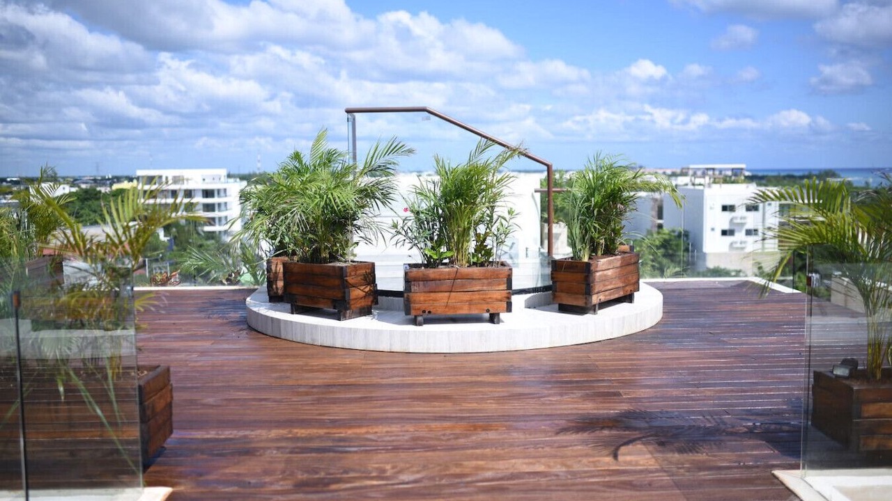 Photo of Outdoor in Luis Donaldo Colosio