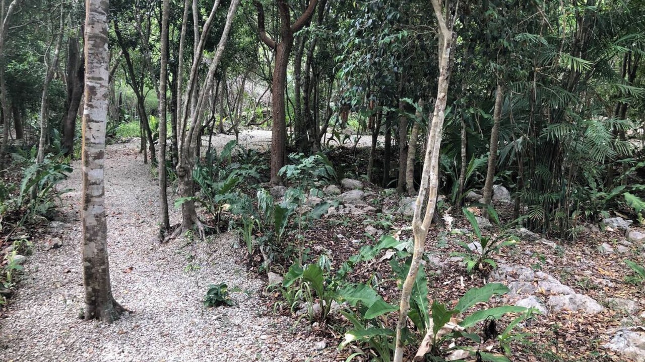 Photo of Outdoor in Xpu-Ha