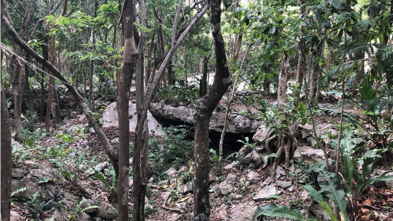 Photo of Others in Xpu-Ha