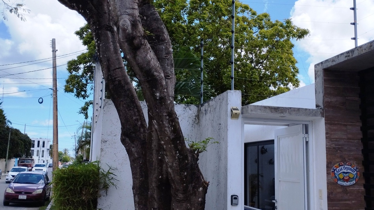 Photo of Outdoor in Colonia Adolfo Lopez Mateos