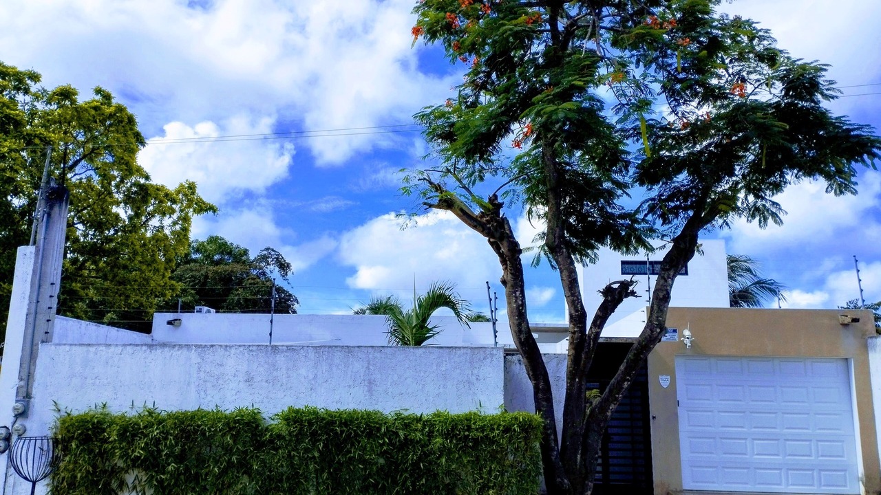 Photo of Outdoor in Colonia Adolfo Lopez Mateos