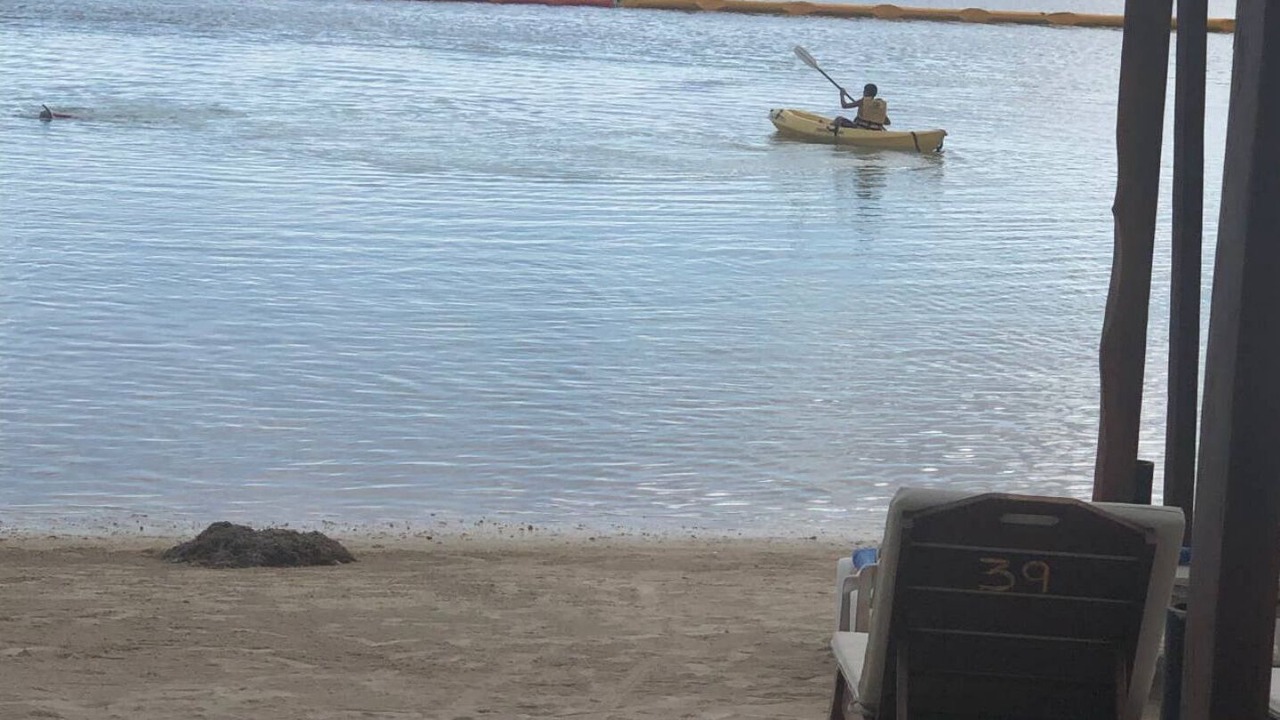 Photo of Others in Majahual