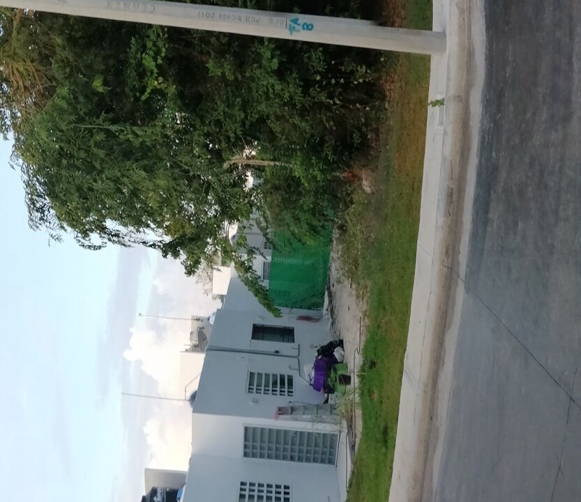 Photo of Others in Puerto Morelos