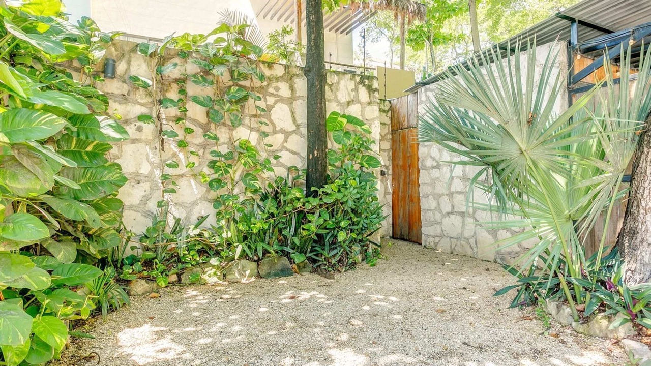 Photo of Outdoor in Tulum City Center