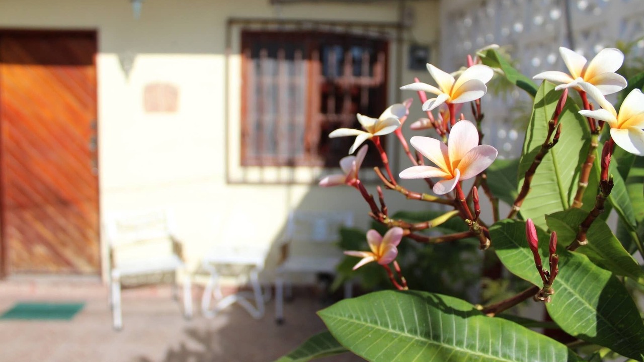 Photo of Outdoor in Downtown Cancun