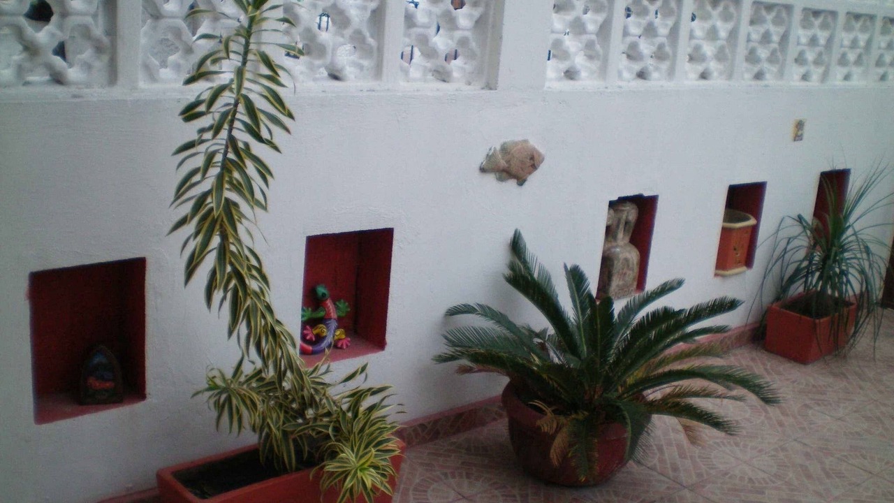 Photo of Outdoor in Downtown Cancun
