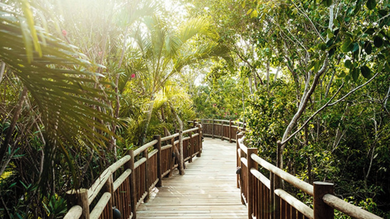 Photo of Outdoor in Villa Juarez