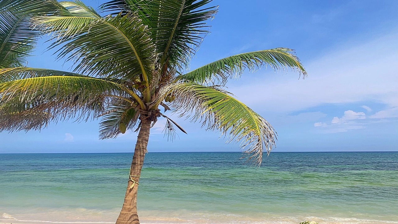 Photo of Others in Costa Maya