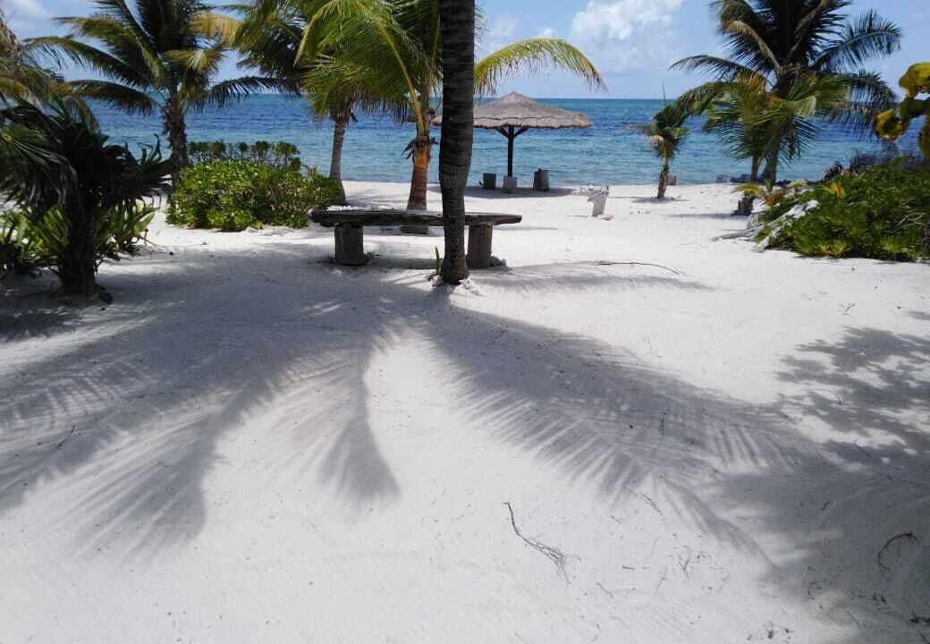 Photo of Others in Costa Maya