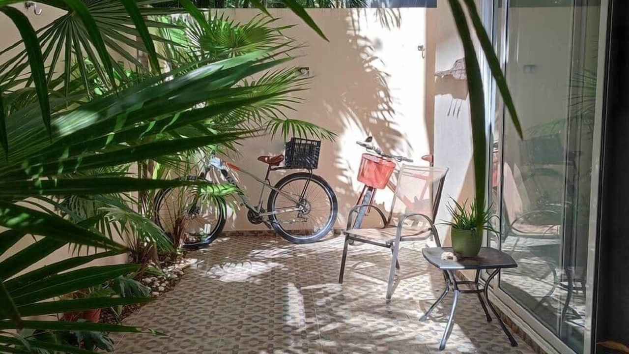 Photo of Outdoor in Puerto Morelos