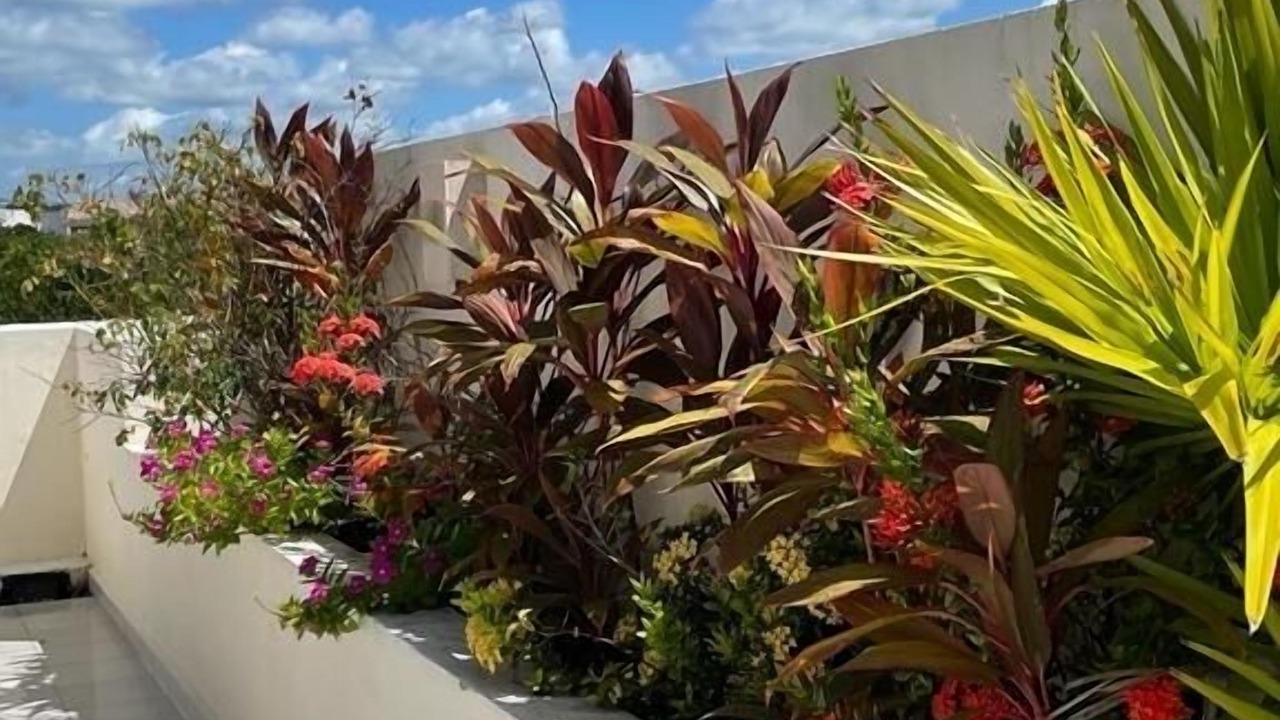 Photo of Outdoor in Zama