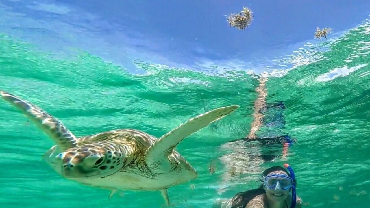 Photo of Others in Akumal