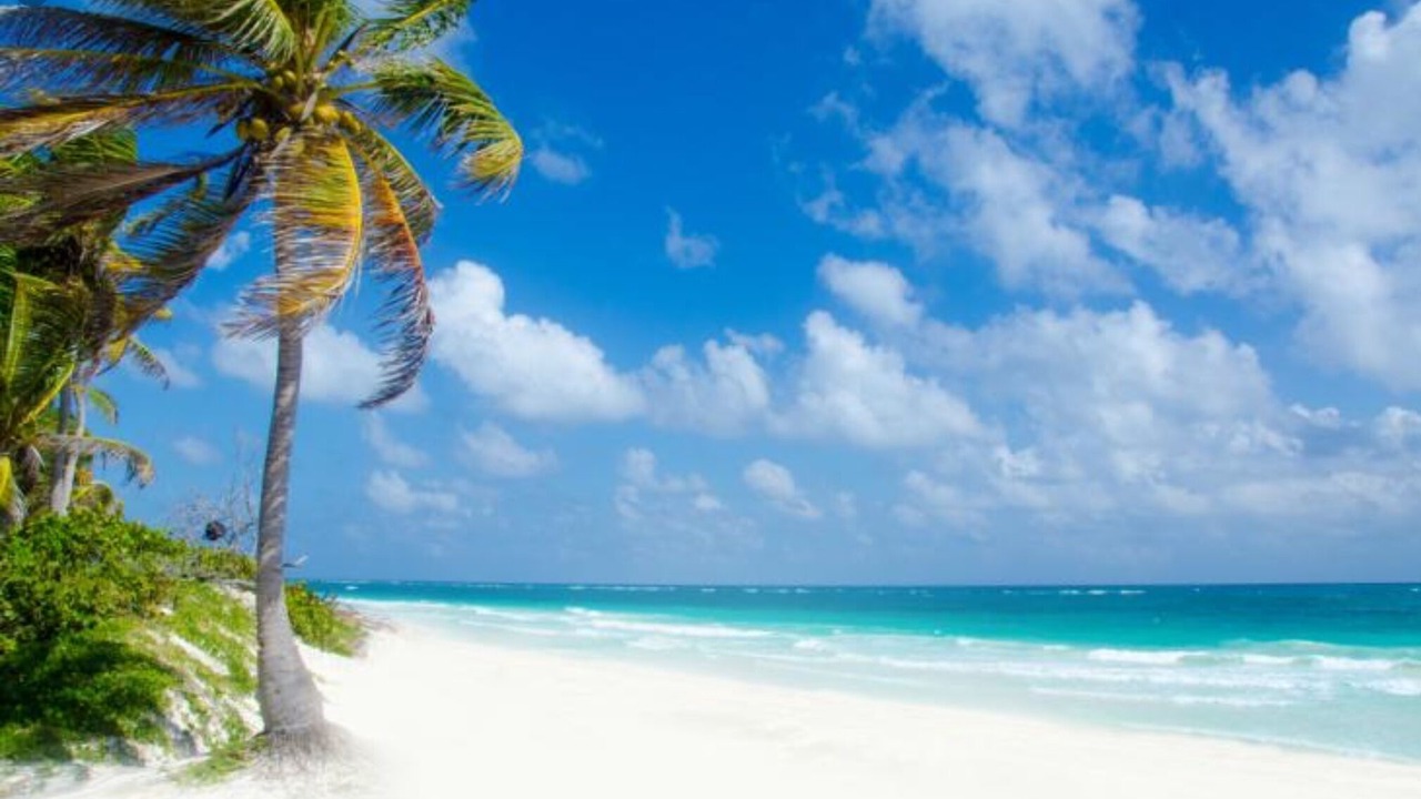 Photo of Others in Akumal