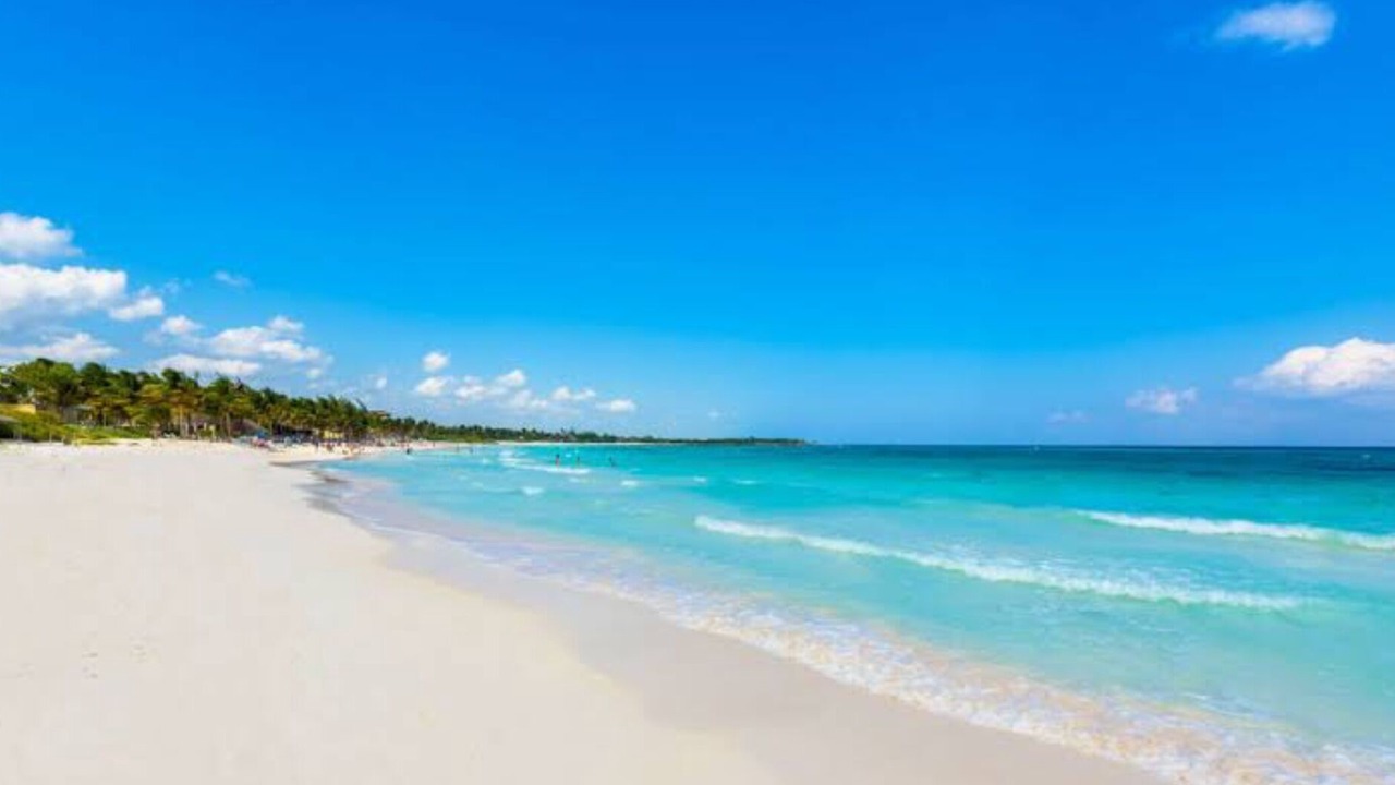 Photo of Others in Akumal