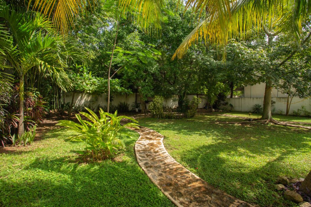 Photo of Outdoor in Villa Juarez