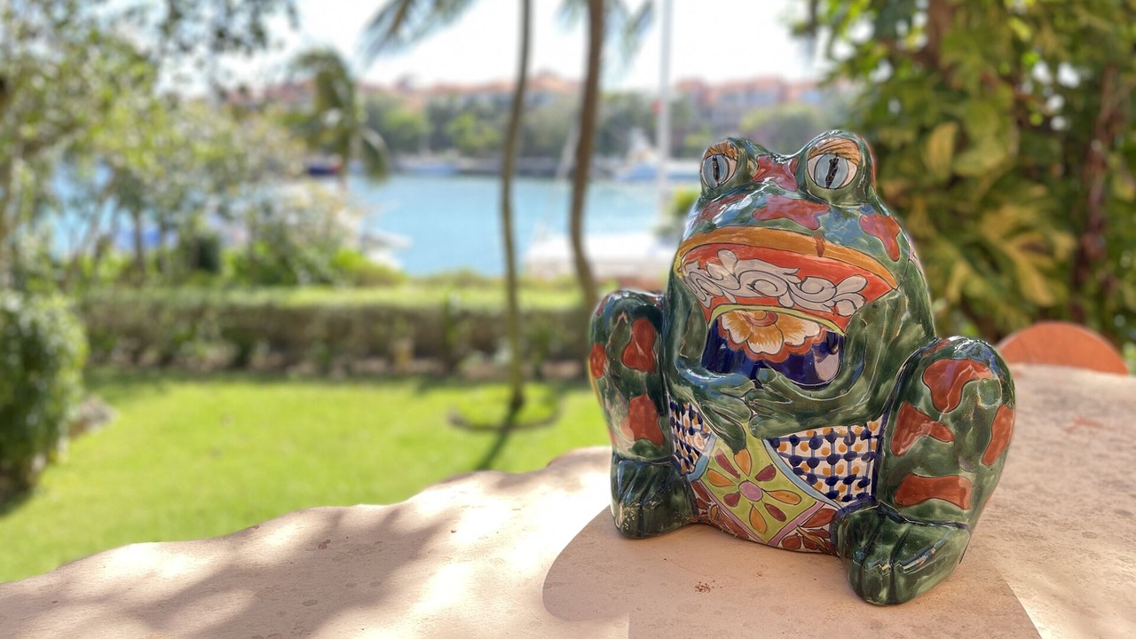 Photo of Others in Puerto Aventuras