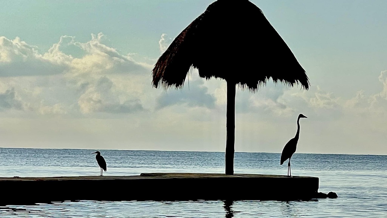Photo of Others in Puerto Aventuras