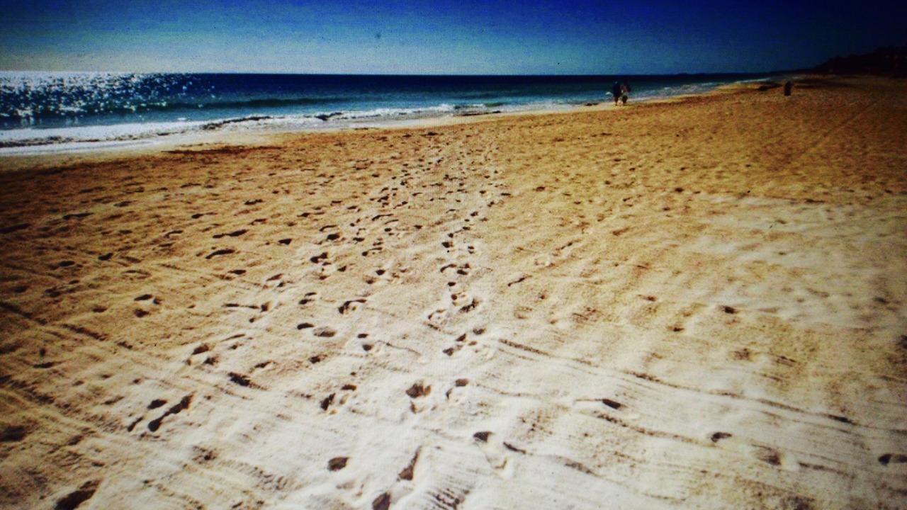 Photo of Others in Playa Paraiso