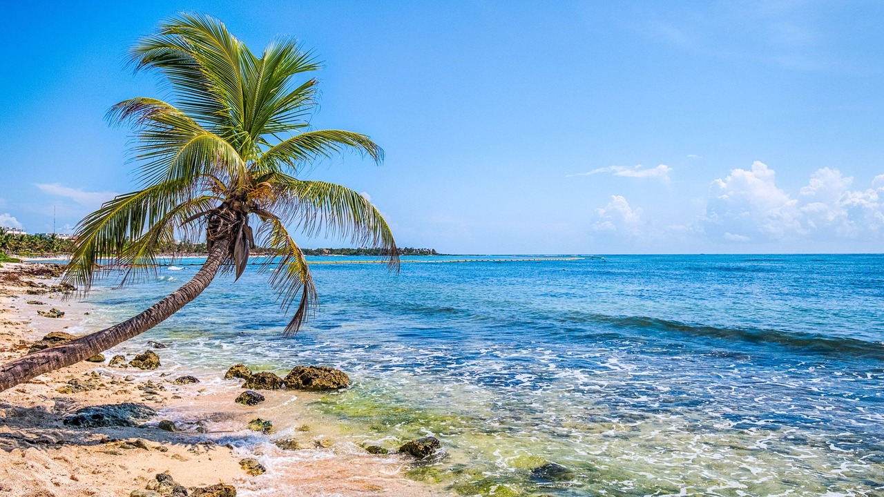 Photo of Others in Akumal