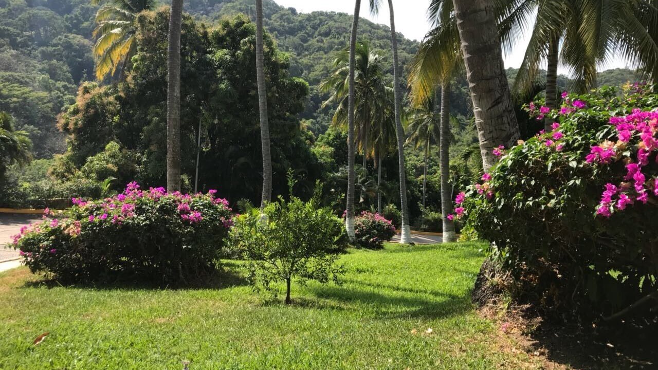 Photo of Outdoor in Punta Diamante
