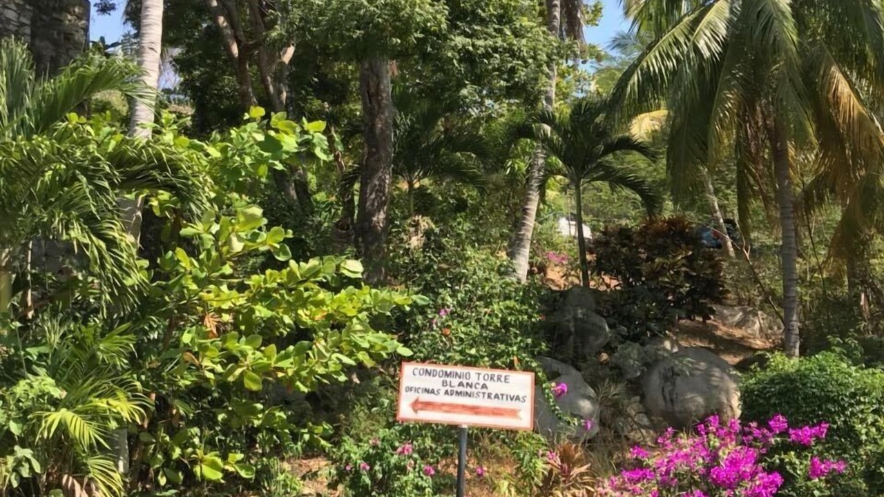 Photo of Outdoor in Punta Diamante