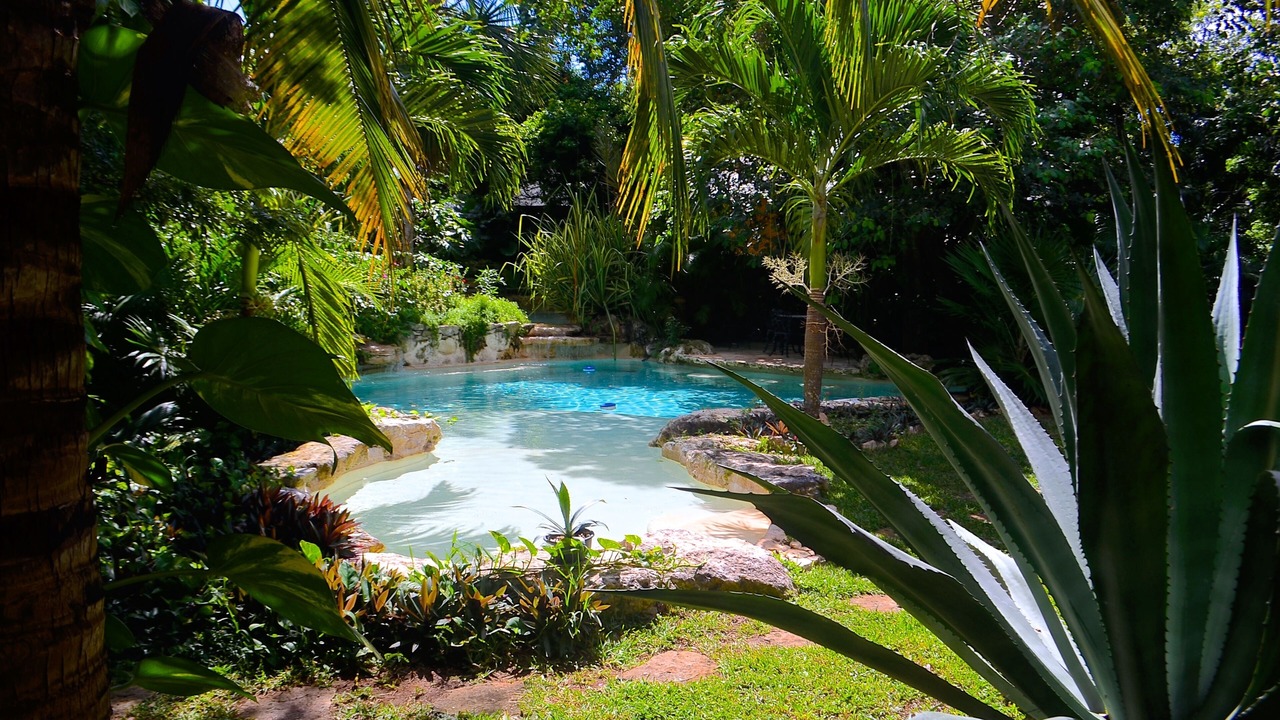 Photo of Outdoor in Xcaret