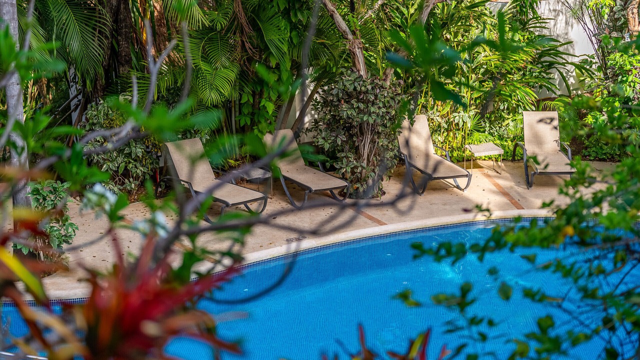 Photo of Outdoor in Gonzalo Guerrero