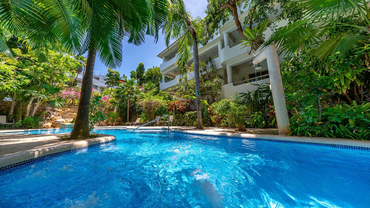 Photo of Outdoor in Gonzalo Guerrero