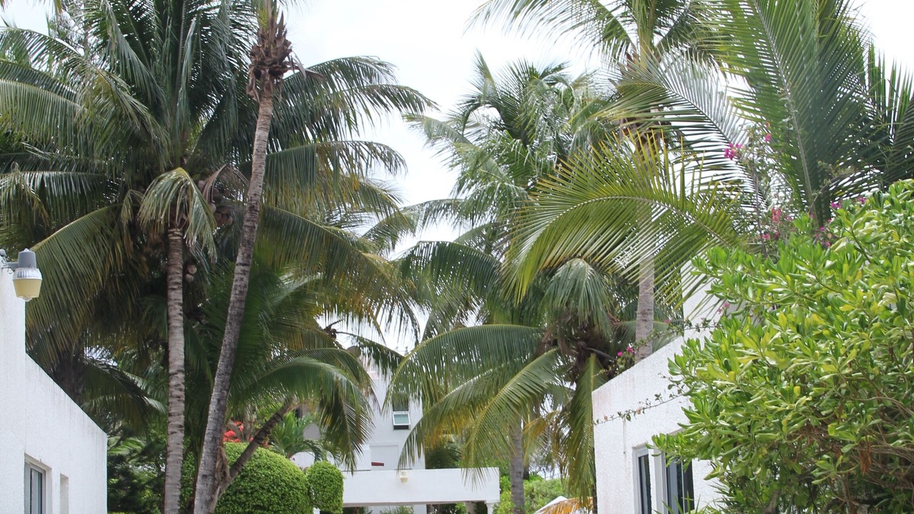 Photo of Others in Playa del Secreto