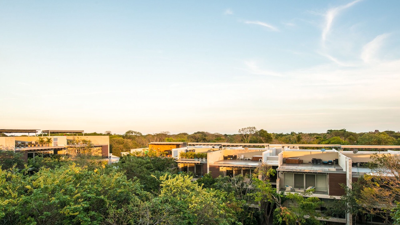 Photo of Outdoor in Playacar