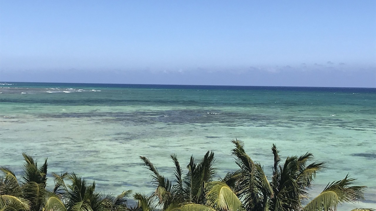 Photo of Others in Majahual